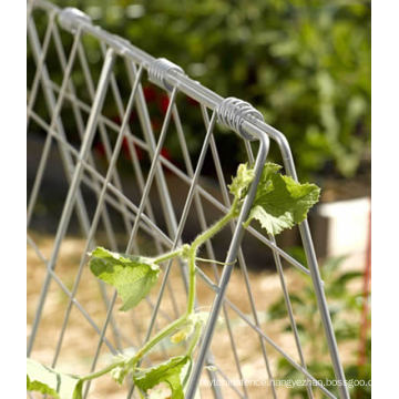 Cucumber Trellis for Raised Beds or Small Garden